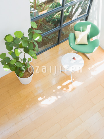 �C���e���A