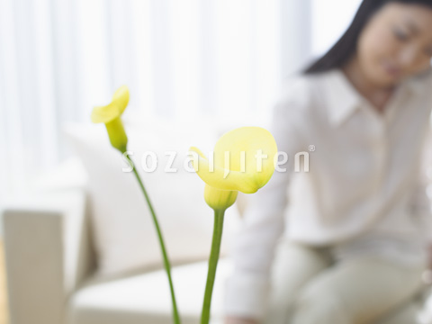 �J���[