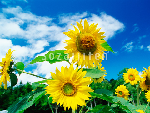 �q�}������