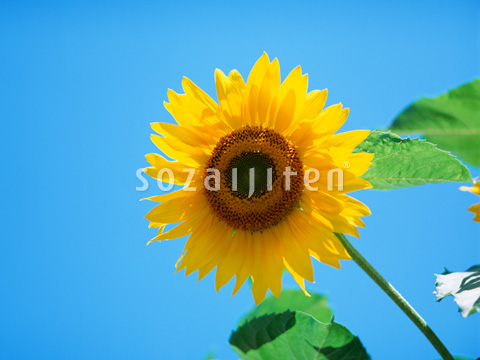 �q�}����