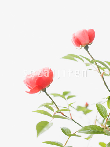 �o��