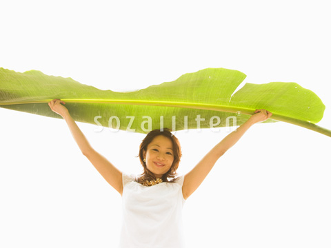�t�Ə���