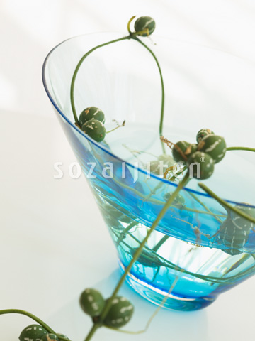 �X�Y���E���ƃK���X�{�E��