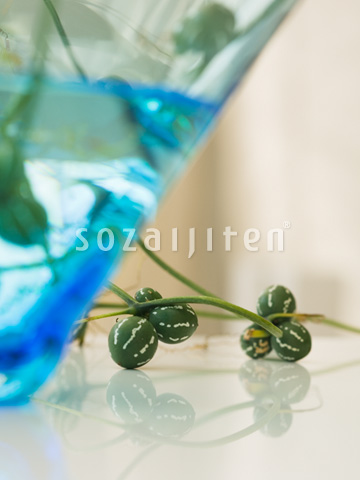 �X�Y���E���ƃK���X�{�E��