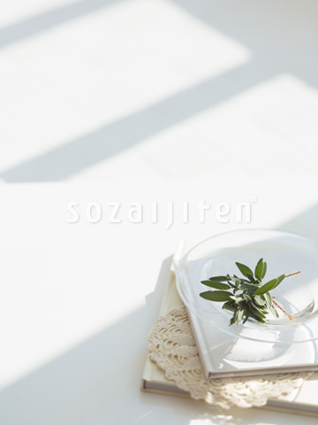�Z�[�W�ƃK���X�{�E��