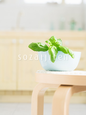 �o�W��