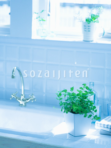 �L�b�`��