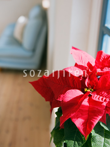 �|�C���Z�`�A