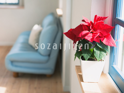 ���ӂ̃|�C���Z�`�A
