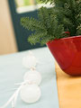 鉢植えとクリスマス飾り