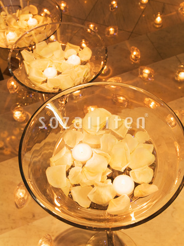 �L�����h���A�����W