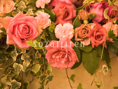 �t�����[�A�����W�����g