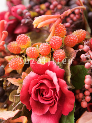 �t�����[�A�����W�����g