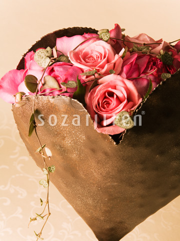 �t�����[�A�����W�����g