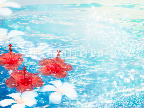�썑�C���[�W�iCG�j