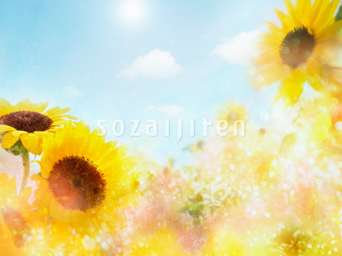 �ăC���[�W�iCG�j