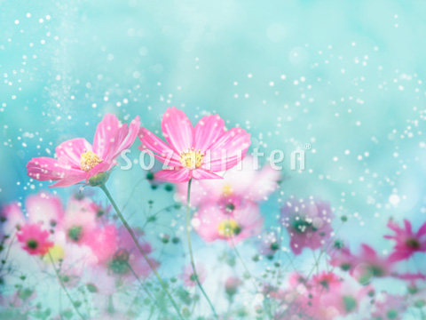 �H�C���[�W�iCG�j