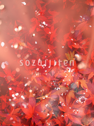 �g�t�C���[�W�iCG�j