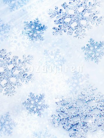 ��̌����iCG�j