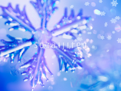 ��̌����iCG�j