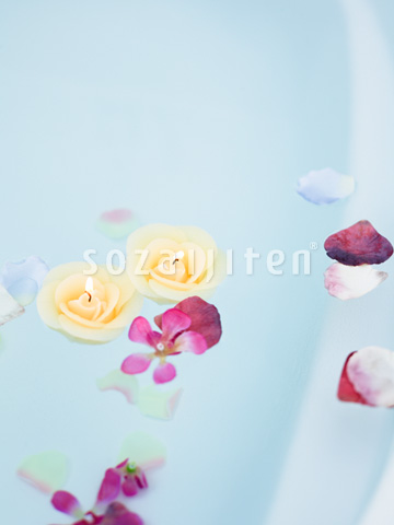 �t���[�e�B���O�L�����h��