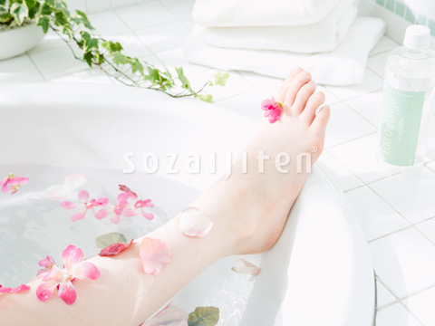 �t�����[�o�X