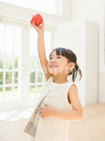 �g�}�g�������̎q