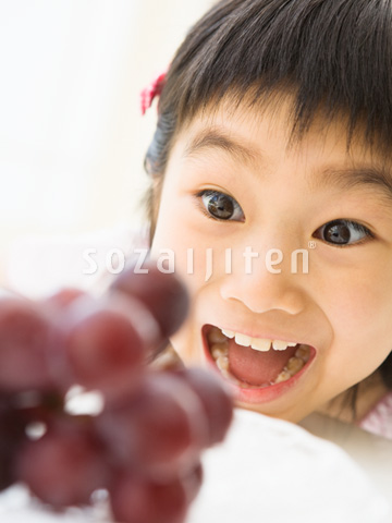 �����ƃu�h�E