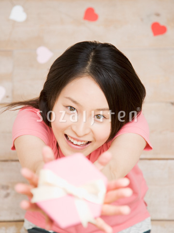 �v���[���g�������o������