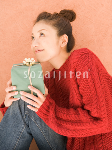 �v���[���g��������