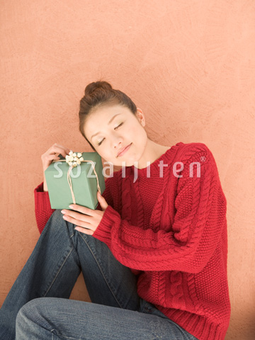 �v���[���g��������