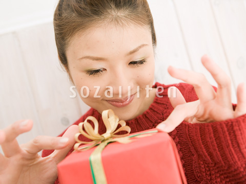 �v���[���g�����߂鏗��