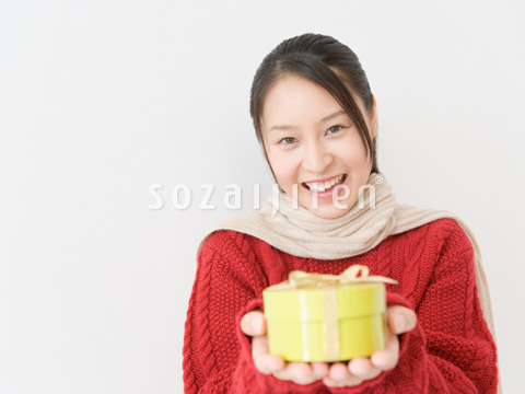 �v���[���g�������o������