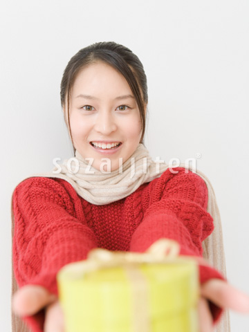 �v���[���g�������o������
