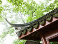 屋根