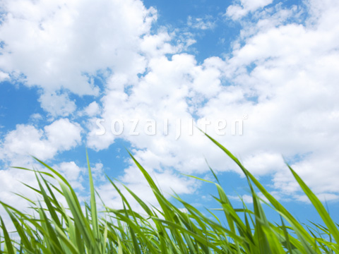 ��Ƒ��ނ�