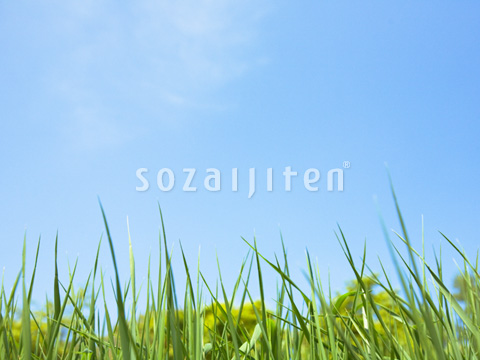 ��Ƒ��ނ�