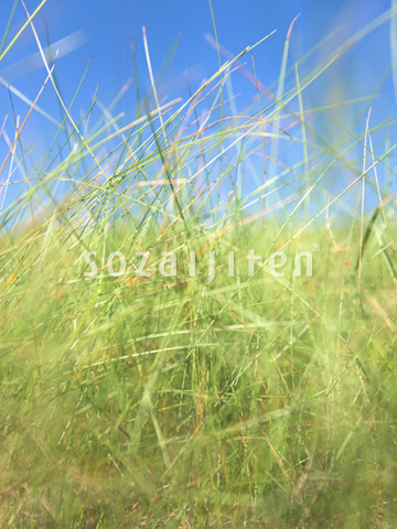 ��Ƒ��ނ�