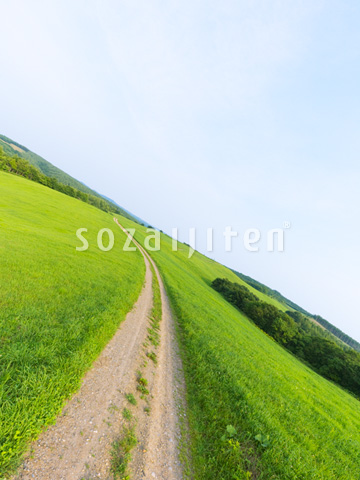 ��Ɩ쓹