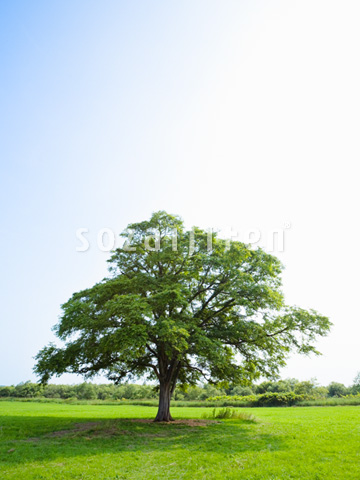 ��Ǝ���