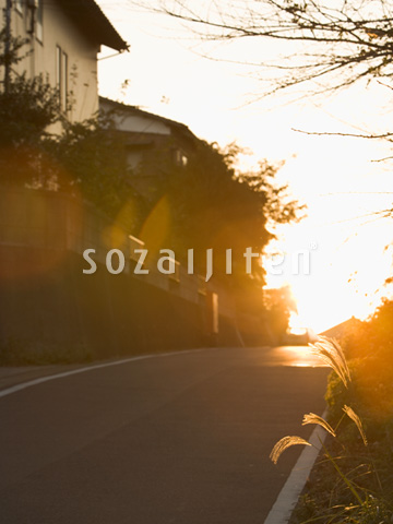 �Z��X�[�i