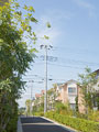 住宅街
