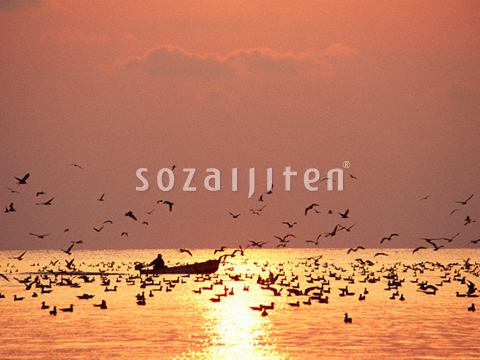 �C�i�[�i�j