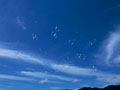 シャボン玉と空