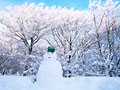 雪だるま