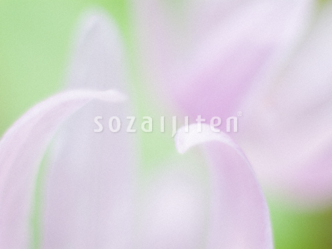 �J�^�N��