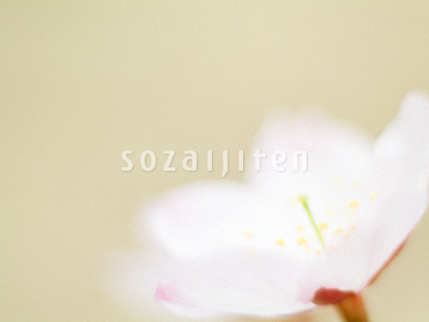 �T�N��