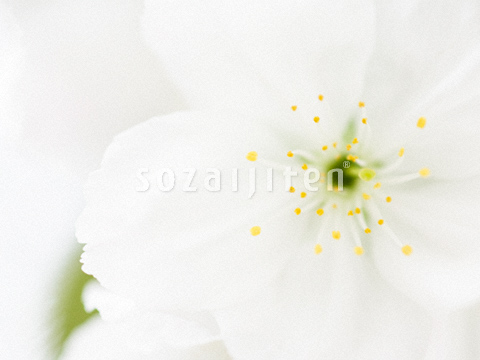 �T�N��