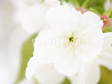 �T�N��