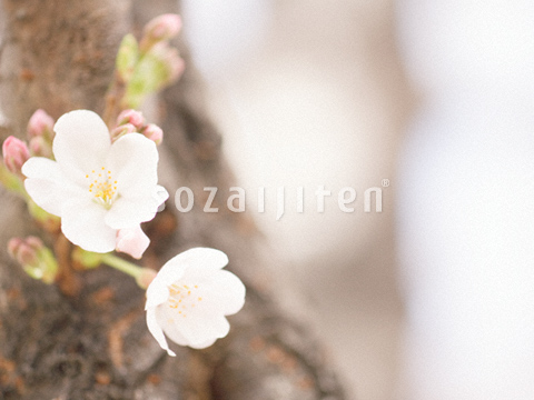 �T�N��